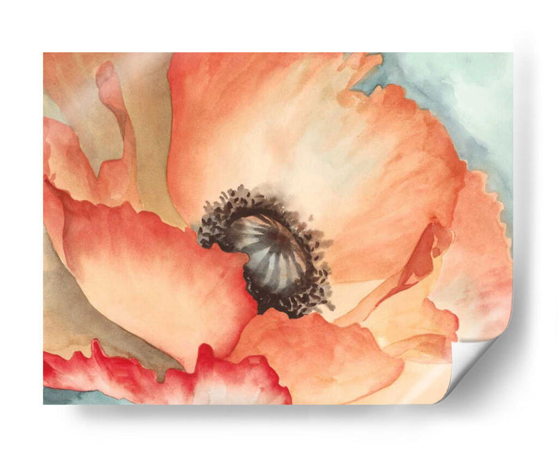 Acuarela Poppy Ii - Megan Meagher | Cuadro decorativo de Canvas Lab