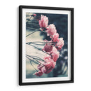 Rosas dramáticas | Cuadro decorativo de Canvas Lab