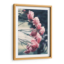 Rosas dramáticas | Cuadro decorativo de Canvas Lab