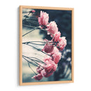 Rosas dramáticas | Cuadro decorativo de Canvas Lab