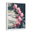 Rosas dramáticas | Cuadro decorativo de Canvas Lab