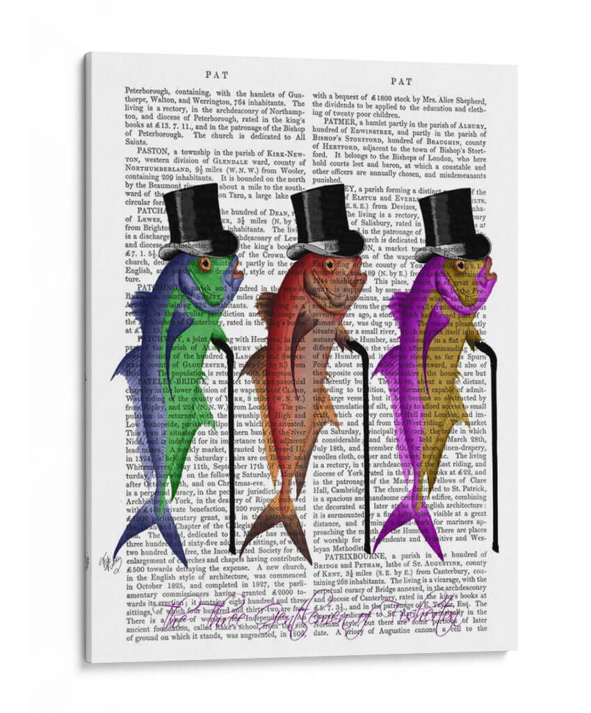 Caballero De Fishingonia - Fab Funky | Cuadro decorativo de Canvas Lab