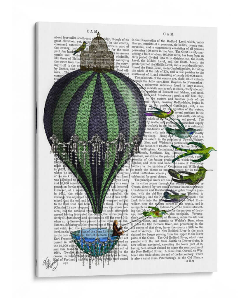 Globo De Aire Caliente Y Pájaros - Fab Funky | Cuadro decorativo de Canvas Lab