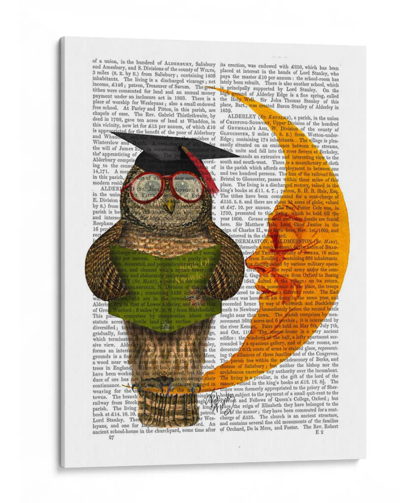 Búho En La Luna - Fab Funky | Cuadro decorativo de Canvas Lab