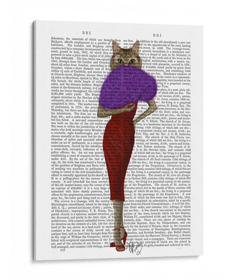 Gato En Vestido Rojo - Fab Funky | Cuadro decorativo de Canvas Lab