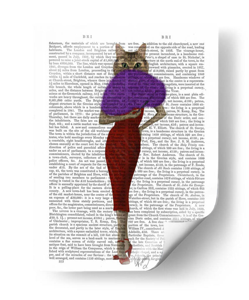 Gato En Vestido Rojo - Fab Funky | Cuadro decorativo de Canvas Lab