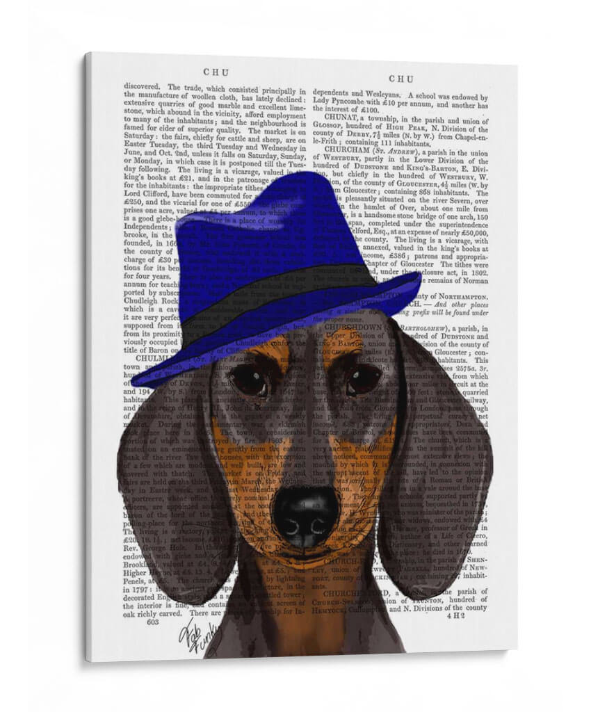 Dachshund Con Trilby Azul - Fab Funky | Cuadro decorativo de Canvas Lab