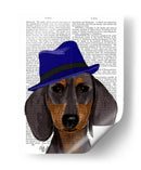 Dachshund Con Trilby Azul - Fab Funky | Cuadro decorativo de Canvas Lab