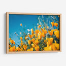 Amarillas en el campo | Cuadro decorativo de Canvas Lab