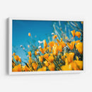 Amarillas en el campo | Cuadro decorativo de Canvas Lab