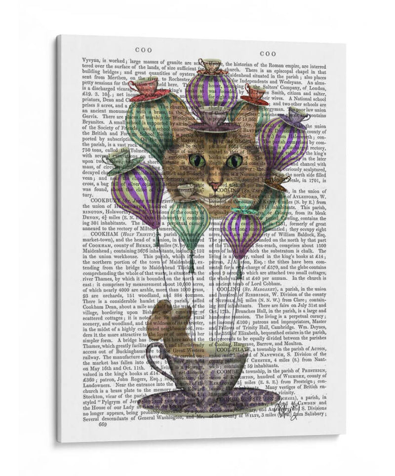 Cheshire Gato Globo De Aire Caliente - Fab Funky | Cuadro decorativo de Canvas Lab