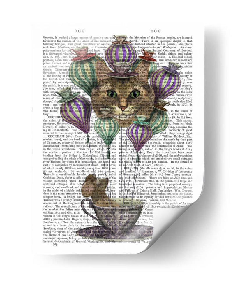 Cheshire Gato Globo De Aire Caliente - Fab Funky | Cuadro decorativo de Canvas Lab