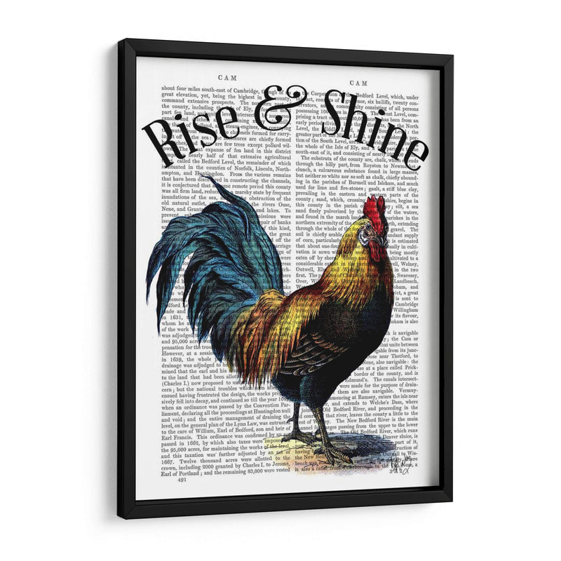 Levántate Y Brilla - Fab Funky | Cuadro decorativo de Canvas Lab