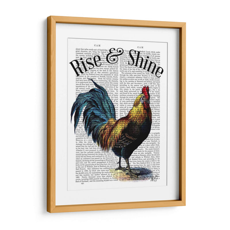 Levántate Y Brilla - Fab Funky | Cuadro decorativo de Canvas Lab