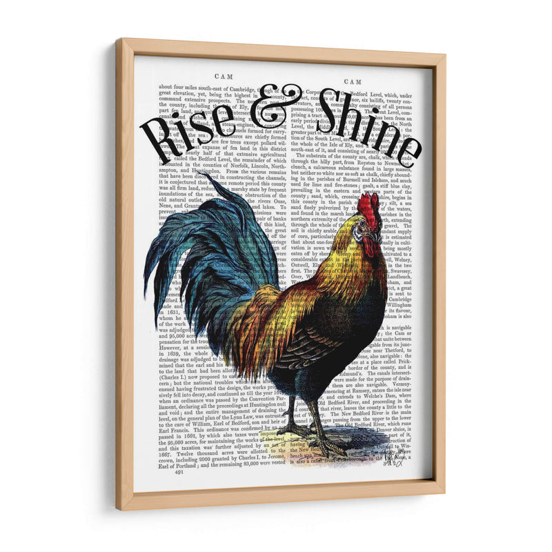 Levántate Y Brilla - Fab Funky | Cuadro decorativo de Canvas Lab