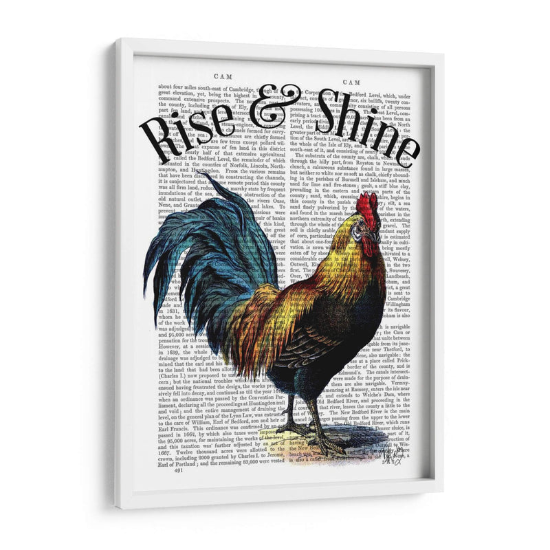 Levántate Y Brilla - Fab Funky | Cuadro decorativo de Canvas Lab