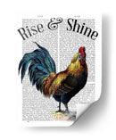 Levántate Y Brilla - Fab Funky | Cuadro decorativo de Canvas Lab