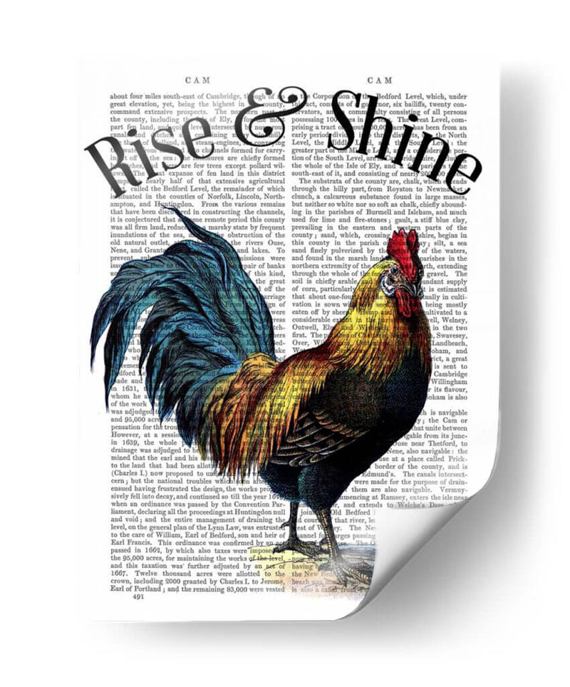 Levántate Y Brilla - Fab Funky | Cuadro decorativo de Canvas Lab