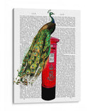 Peacock En El Buzón - Fab Funky | Cuadro decorativo de Canvas Lab