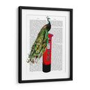 Peacock En El Buzón - Fab Funky | Cuadro decorativo de Canvas Lab