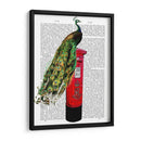 Peacock En El Buzón - Fab Funky | Cuadro decorativo de Canvas Lab