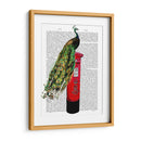 Peacock En El Buzón - Fab Funky | Cuadro decorativo de Canvas Lab