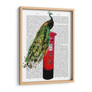 Peacock En El Buzón - Fab Funky | Cuadro decorativo de Canvas Lab