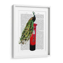 Peacock En El Buzón - Fab Funky | Cuadro decorativo de Canvas Lab