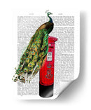 Peacock En El Buzón - Fab Funky | Cuadro decorativo de Canvas Lab