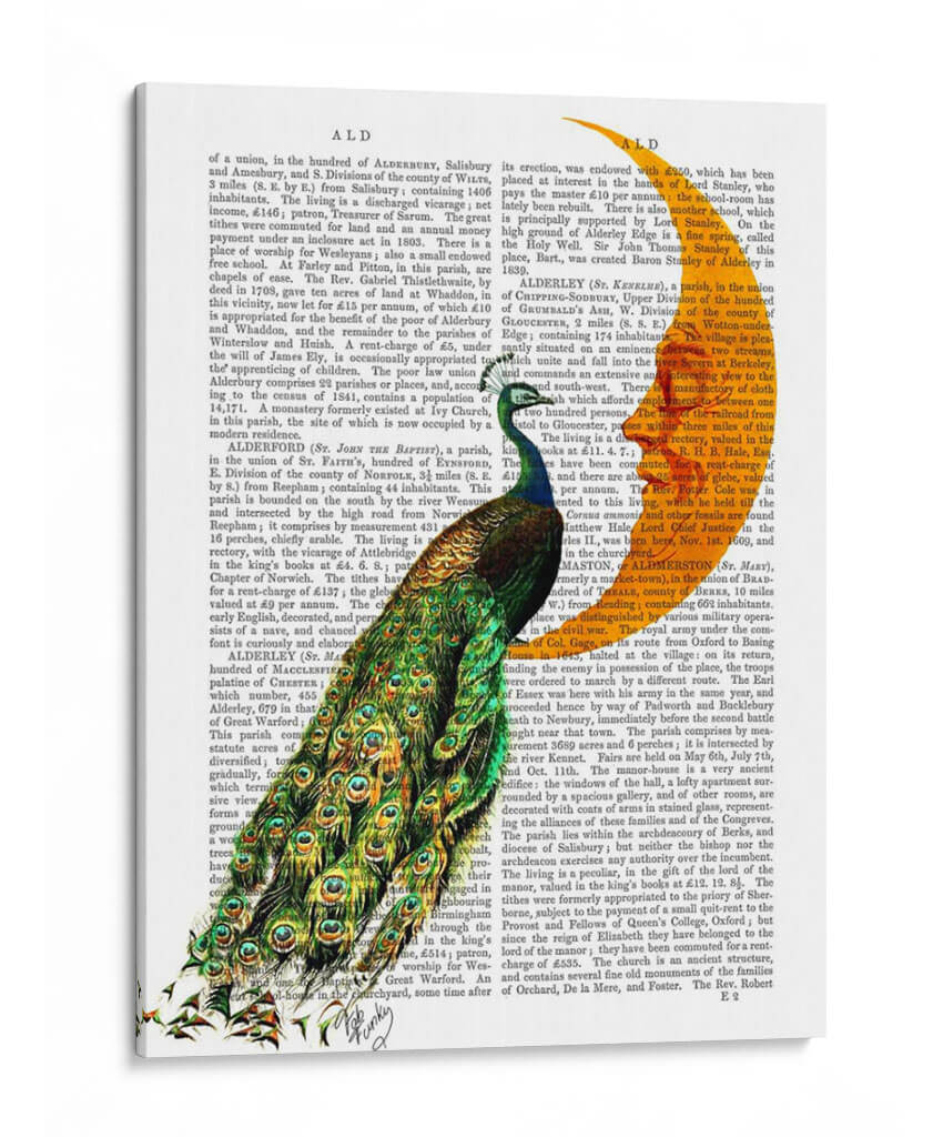 Peacock En La Luna - Fab Funky | Cuadro decorativo de Canvas Lab