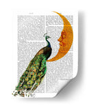 Peacock En La Luna - Fab Funky | Cuadro decorativo de Canvas Lab