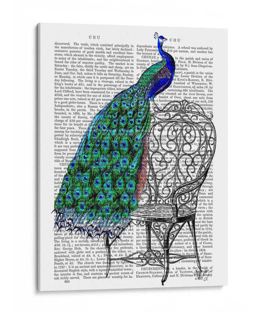 Peacock En Silla - Fab Funky | Cuadro decorativo de Canvas Lab