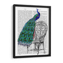 Peacock En Silla - Fab Funky | Cuadro decorativo de Canvas Lab