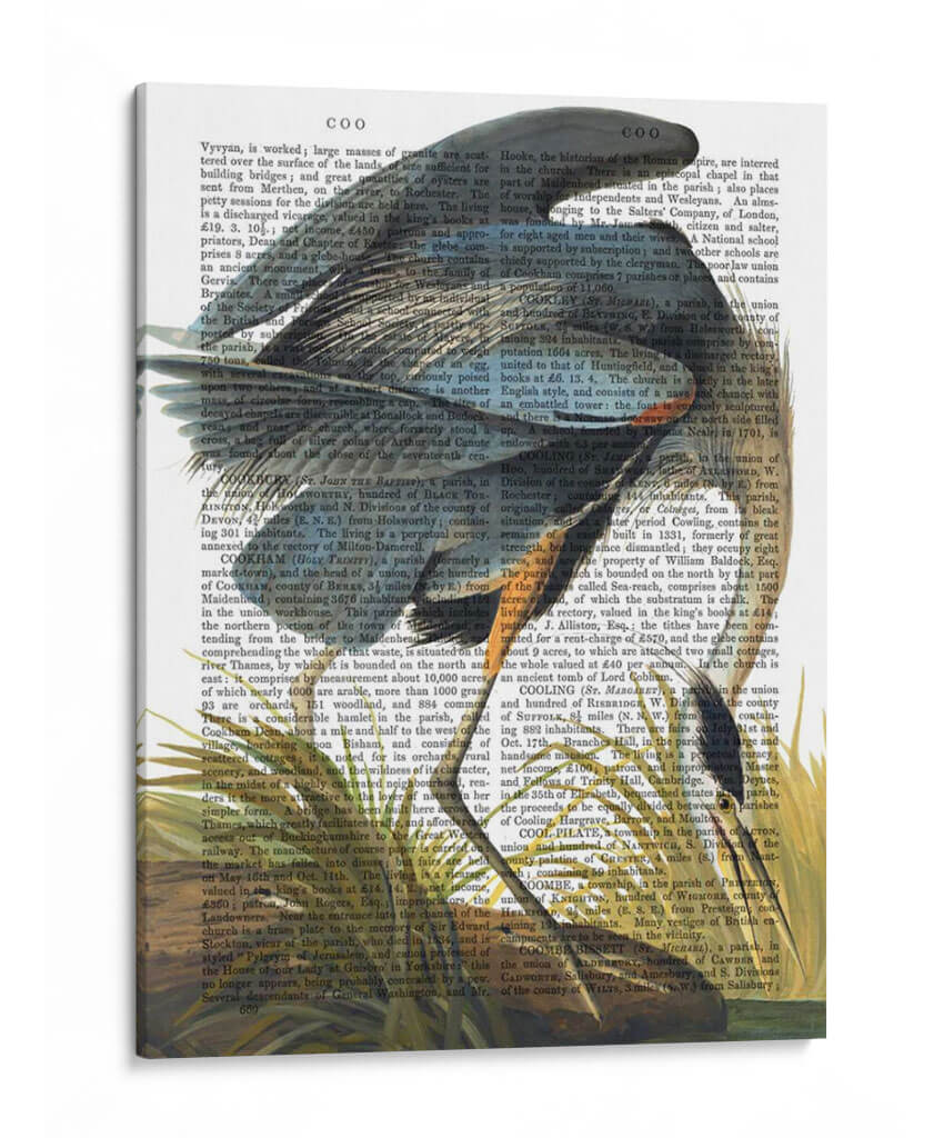 Heron Azul 1 - Fab Funky | Cuadro decorativo de Canvas Lab