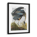 Heron Azul 1 - Fab Funky | Cuadro decorativo de Canvas Lab