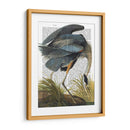 Heron Azul 1 - Fab Funky | Cuadro decorativo de Canvas Lab