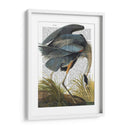 Heron Azul 1 - Fab Funky | Cuadro decorativo de Canvas Lab