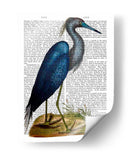 Heron Blue 2 - Fab Funky | Cuadro decorativo de Canvas Lab