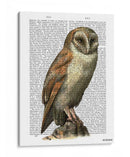 Lechuza - Fab Funky | Cuadro decorativo de Canvas Lab