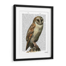 Lechuza - Fab Funky | Cuadro decorativo de Canvas Lab
