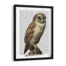 Lechuza - Fab Funky | Cuadro decorativo de Canvas Lab