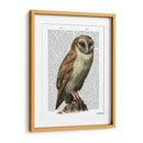 Lechuza - Fab Funky | Cuadro decorativo de Canvas Lab