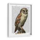Lechuza - Fab Funky | Cuadro decorativo de Canvas Lab