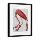 Flamenco En Botas Rosadas - Fab Funky | Cuadro decorativo de Canvas Lab