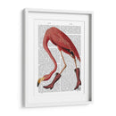 Flamenco En Botas Rosadas - Fab Funky | Cuadro decorativo de Canvas Lab