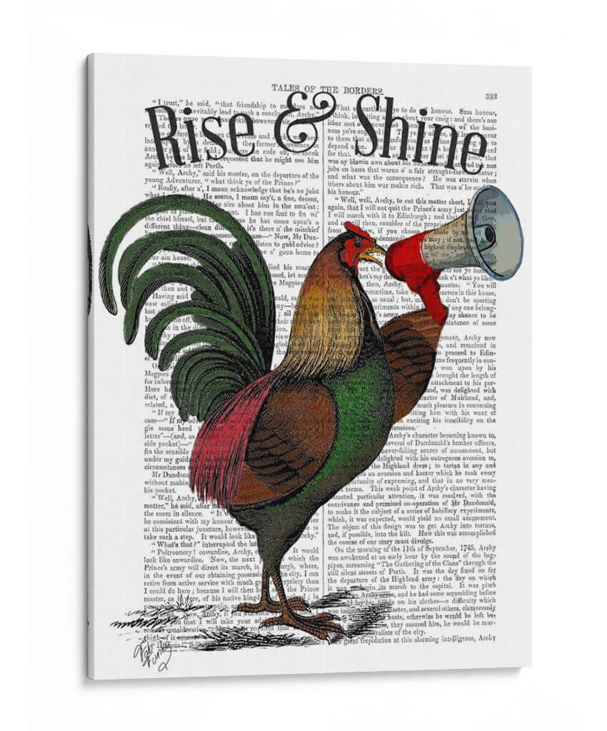 Gallo Con Loudhailer - Fab Funky | Cuadro decorativo de Canvas Lab