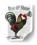 Gallo Con Loudhailer - Fab Funky | Cuadro decorativo de Canvas Lab