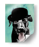Black Labrador En Bowler Hat - Fab Funky | Cuadro decorativo de Canvas Lab