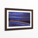 Serpiente tornasol | Cuadro decorativo de Canvas Lab