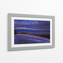 Serpiente tornasol | Cuadro decorativo de Canvas Lab